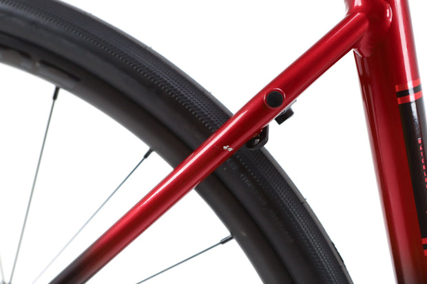 Trek Domane AL 2 Gen 4 Shimano Claris Disc Road Bike 2025, Size 54cm