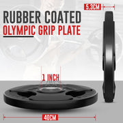 Tri-Grip Cast Iron Weight Plates with Rubber Coating – 1-Inch Standard Barbell Weights (2.5kg to 25kg) – Sold in Pairs for Home & Gym Use