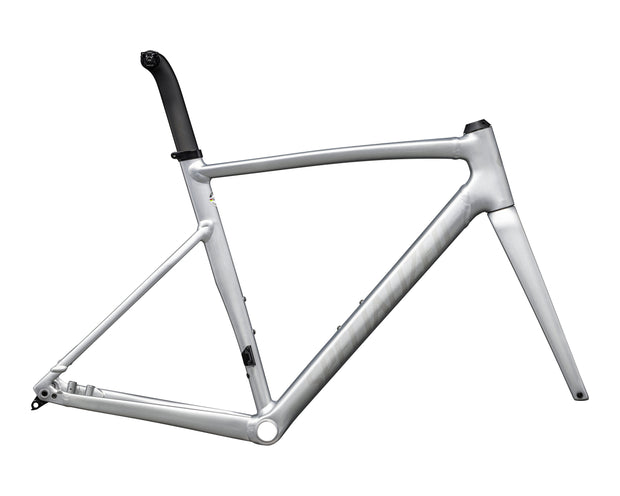 2024 Specialized Allez Sprint Frameset