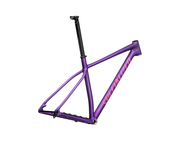 2025 Specialized Chisel Hardtail Frameset