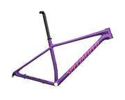 2025 Specialized Chisel Hardtail Frameset