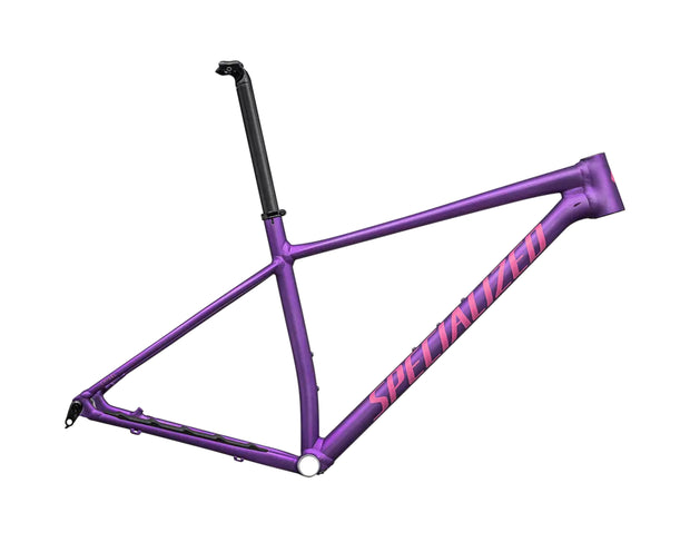 2025 Specialized Chisel Hardtail Frameset