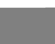 2024 Specialized  Allez Sprint LTD