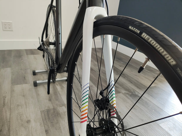 #1320 - Undefeated Disc Road | Graphite Prism (Size 62cm, Brand New / Open Box – Fork Swap)
