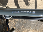 Trek Allant+ 5 2021