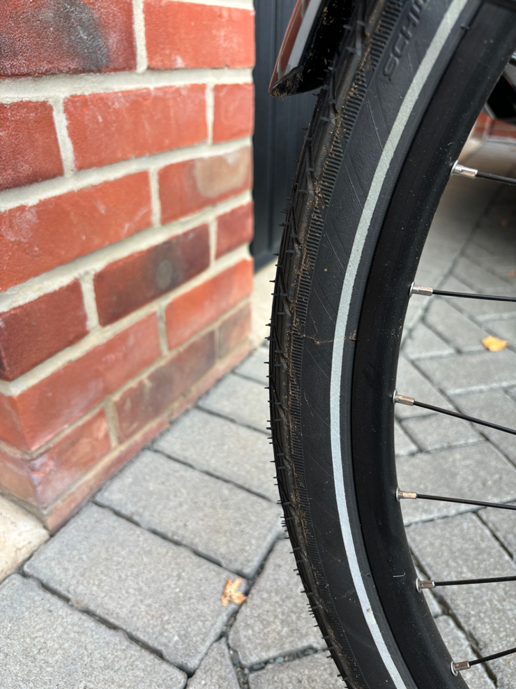 Trek District 1 Highstep XL 2022